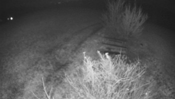 Snímek 9.11.2025 v 21:30