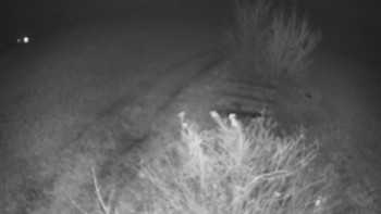 Snímek    10.11.2025 v 21:30