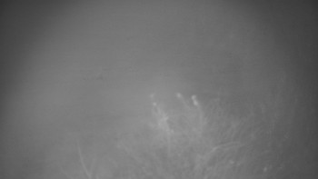 Snímek 10.11.2025 v 23:30