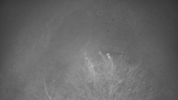 Snímek    12.11.2025 v 20:30