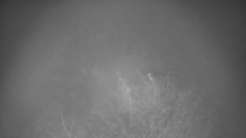 Snímek 12.11.2025 v 22:00