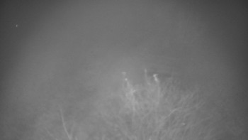 Snímek 13.11.2025 v 03:30