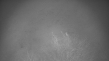 Snímek    13.11.2025 v 04:30