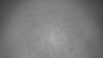 Snímek    14.11.2025 v 00:00