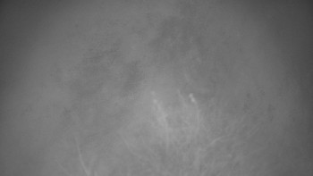 Snímek 14.11.2025 v 05:30