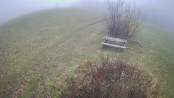 Snímek    14.11.2025 v 10:30