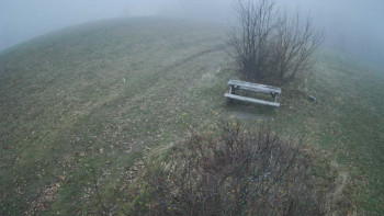 Snímek    14.11.2025 v 16:30