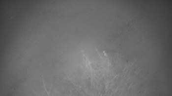 Snímek    14.11.2025 v 17:00