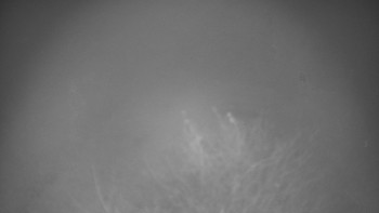 Snímek    14.11.2025 v 17:30