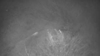 Snímek 14.11.2025 v 19:00