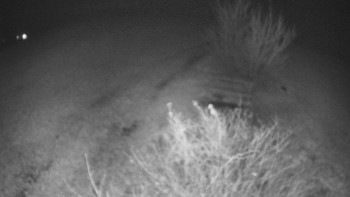 Snímek    14.11.2025 v 20:00