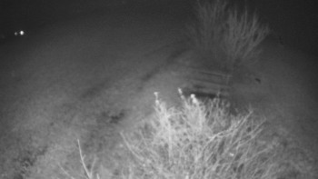 Snímek    14.11.2025 v 20:30