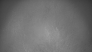 Snímek 15.11.2025 v 04:00