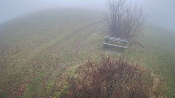 Snímek 15.11.2025 v 07:30