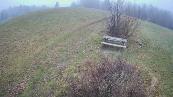 Snímek 15.11.2025 v 16:00