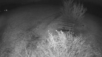 Snímek 15.11.2025 v 17:30