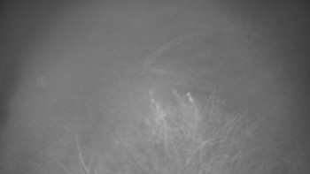 Snímek 15.11.2025 v 18:00