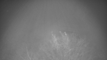 Snímek 15.11.2025 v 18:30