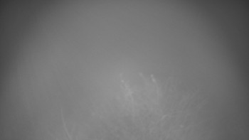 Snímek 15.11.2025 v 20:30