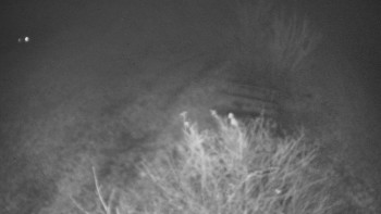 Snímek 16.11.2025 v 03:00