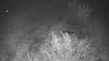 Snímek 16.11.2025 v 04:00