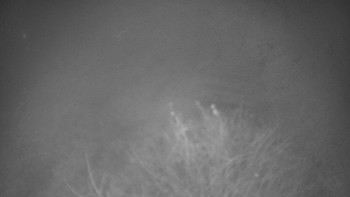 Snímek 16.11.2025 v 04:30