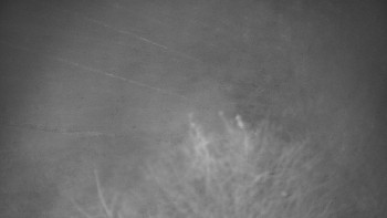 Snímek 16.11.2025 v 05:30