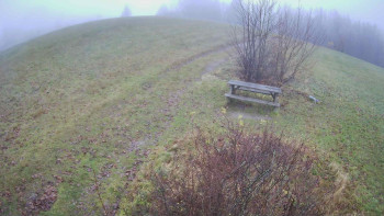 Snímek 16.11.2025 v 08:30