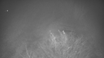 Snímek 16.11.2025 v 17:30