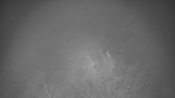 Snímek 16.11.2025 v 20:30