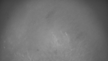 Snímek 16.11.2025 v 23:30