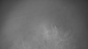 Bludný - Rajnochovice Troják - Bludný - Rajnochovice Troják - 17.11.2025 v 05:30 Bludný - Rajnochovice Troják - Bludný - Rajnochovice Troják - 17.11.2025 v 05:30