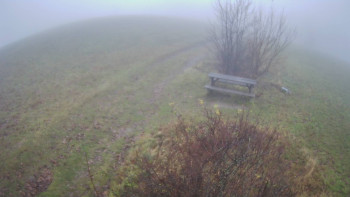 Snímek 17.11.2025 v 08:00