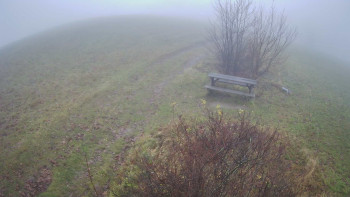 Snímek 17.11.2025 v 08:30