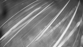 Snímek 17.11.2025 v 17:30