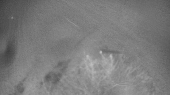 Snímek 17.11.2025 v 22:30