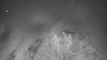 Snímek 17.11.2025 v 23:00