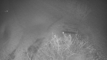 Snímek 17.11.2025 v 23:30