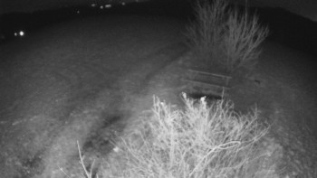 Snímek 18.11.2025 v 22:30