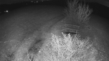 Snímek    18.11.2025 v 23:30