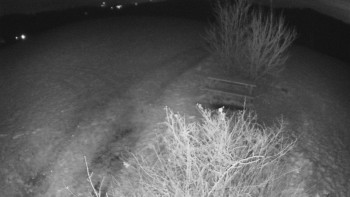 Snímek    19.11.2025 v 05:30