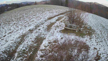 Snímek 19.11.2025 v 14:00