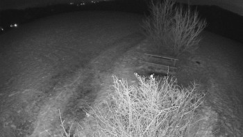 Snímek    19.11.2025 v 18:00