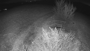 Snímek 19.11.2025 v 23:30