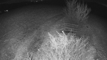 Snímek 20.11.2025 v 04:00