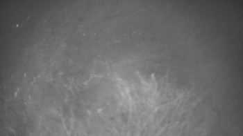 Snímek    20.11.2025 v 17:00