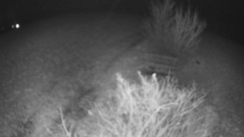 Snímek    20.11.2025 v 20:00