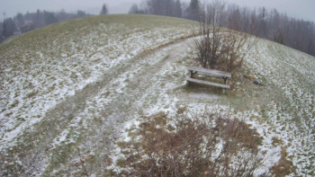 Snímek 21.11.2025 v 10:30