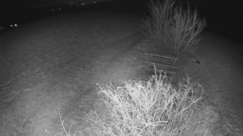 Snímek    21.11.2025 v 21:30