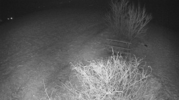 Snímek 21.11.2025 v 23:30